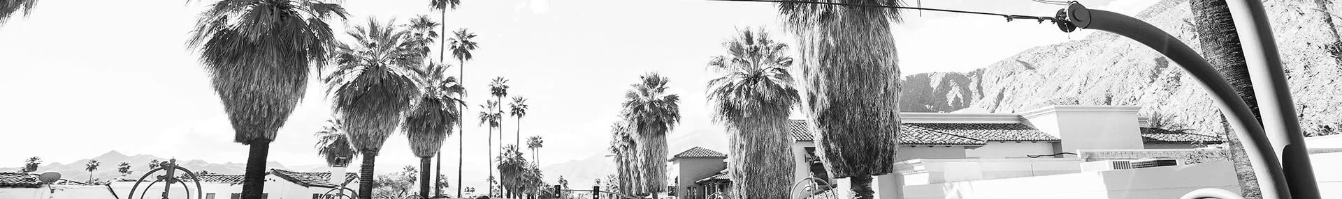 South Palm Canyond Drive in Palm Springs, CA with palm trees and Modernism Week banner